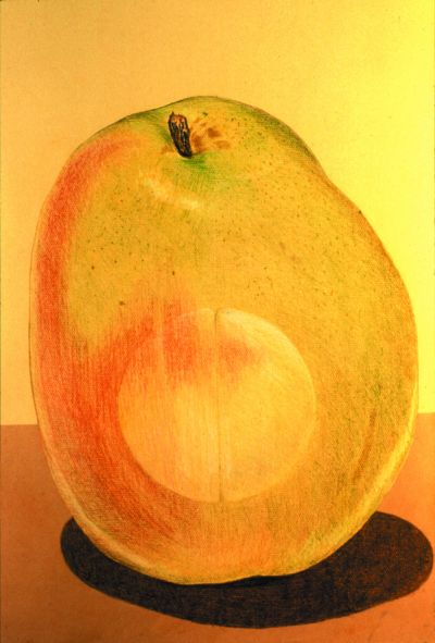 Thomas Lincoln Pear